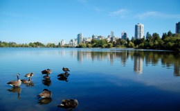 留学の地を選ぶ