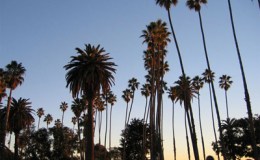 見つけよう、自分に合った学習法