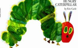 書籍紹介『The very hungry&nbsp;caterpillar』